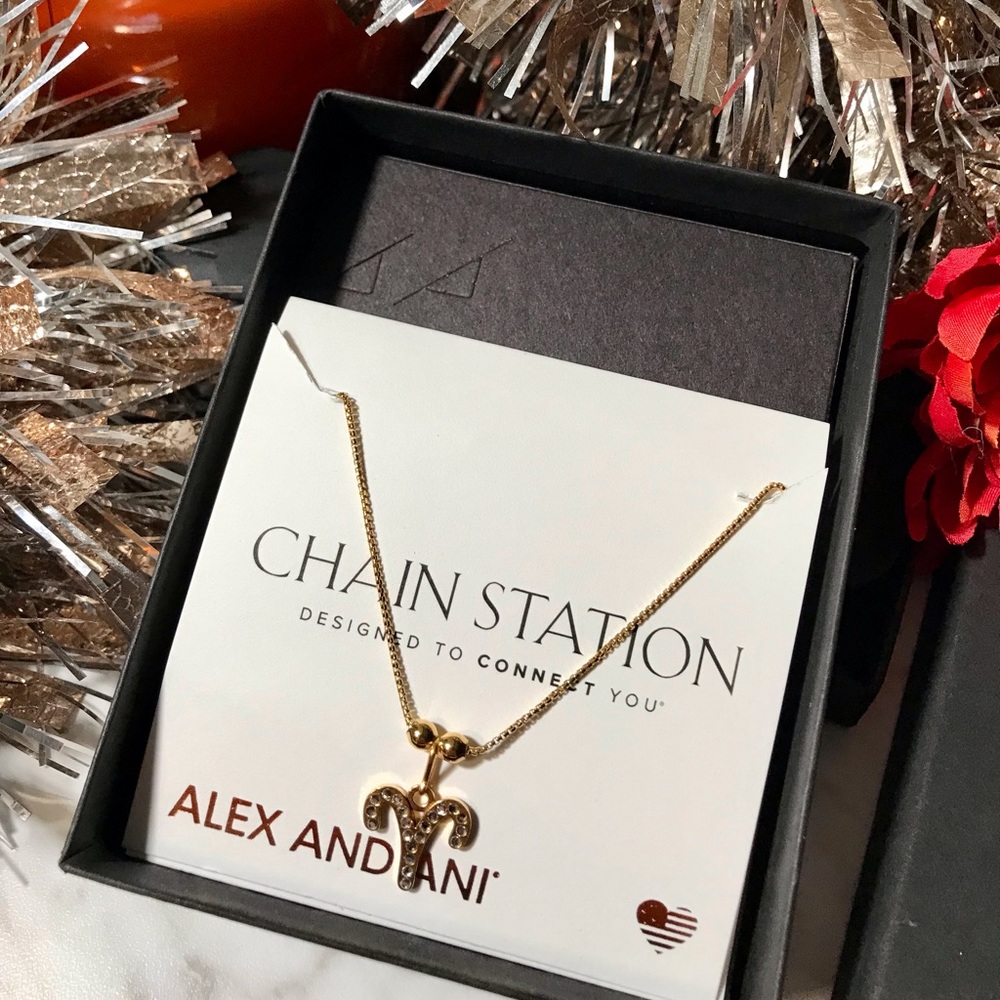Alex and Ani Chain Station Necklace